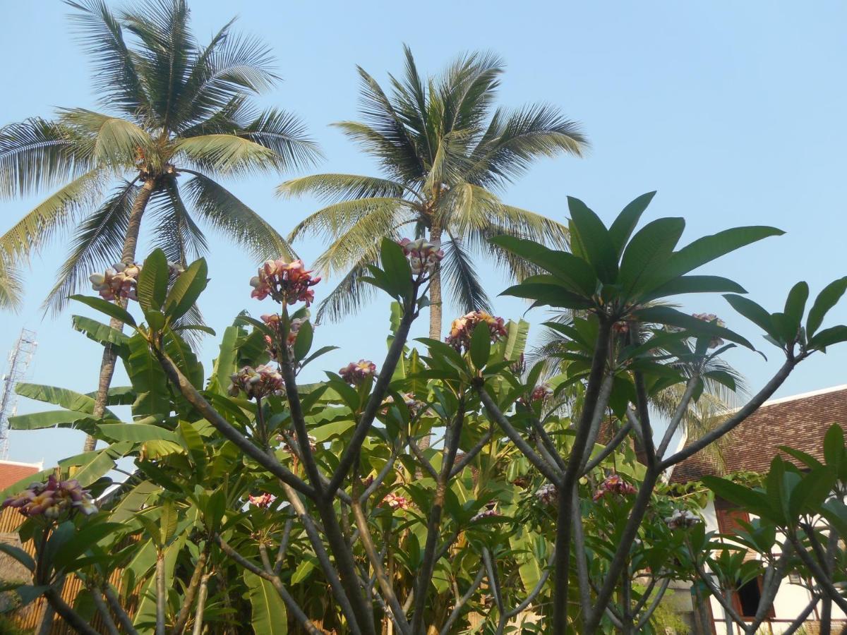 Le Bougainvillier Hotel Luang Prabang Exterior photo
